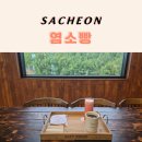 엘레나베이커리 | 사천 베이커리 맛집 염소빵｜카페 확장 에그타르트 자몽주스까지 맛있는 곳