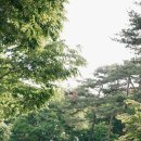 이제인 카카오 검색결과