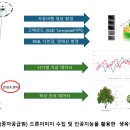 제주임업엔지니어링 네이버블로그