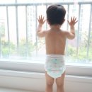 여름 얇은 팬티 기저귀 추천 모모래빗프렌즈 올데이기저귀