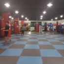 스타 복싱 다이어트 이미지