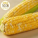 형원농장 이미지