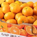 자매김밥 이미지