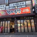 손가네막창구이 | 손가네황소곱창 수원시청역 곱창맛집 찐단골의후기, 술쟁이들을 위한 밑반찬 완비