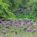 꽃내미풀꽃이랑마을 이미지