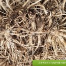 이상백농장 이미지