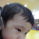 화창태권도장 Daum카페