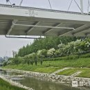 성미