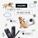 강아지 액션캠 추천 : 인스타 360 고 울트라,강아지 액션캠 하네스