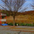 간월도항 이미지