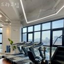 드라코짐 이미지