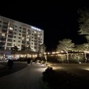 온천게임장 이미지