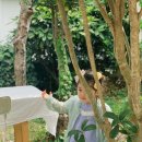 슈가스테이펜션 이미지