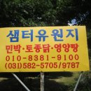 샘터민박
