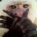 서울아산연합치과의원 이미지