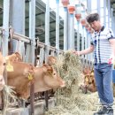 벼랑소랑 이미지