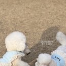 쿠름