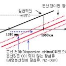 1.2 NZ-DSF (Non-Zero Dispertion Shift Fiber) 이미지