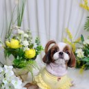 바우미우동물병원 이미지