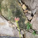 청도한옥민박 이미지