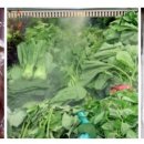 돌고래상가 이미지