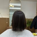 붙임머리,바이초