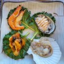 대포항 | 다시가고 싶은 명가횟집 속초 대포항점 후기❤️❤️