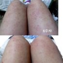 에버노블 이미지