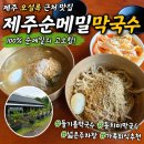 동치미막국수 | 제주 오설록 근처 맛집 제주순메밀막국수 들기름막국수 동치미막국수 후기