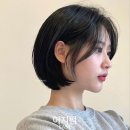 헤어보브 이미지