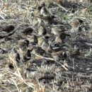 당현천 화장실 이미지