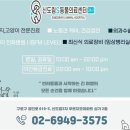 이개내고양이 이미지
