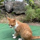 성중목장 이미지