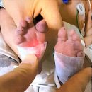 일신조산원 Daum카페