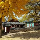 문충공 퇴헌 정천익 이미지