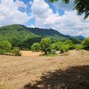 달천펜션 이미지