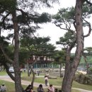 청학(옹청)박물관 이미지