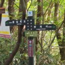 다압면 무료대여소 이미지