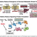 Re:Re:Statin drugs to reduce breast cancer recurrence and mortality 2018리뷰논문 이미지