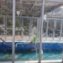 동해어때펜션 이미지