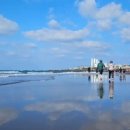 황금코다리제주화북점 이미지