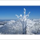 버스정류장 07-123 이미지