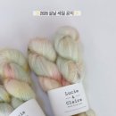 율찌네 보물섬