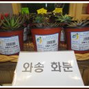 금산로컬푸드