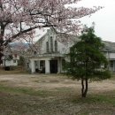 왕자식당 이미지