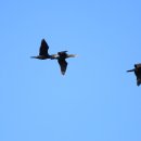 백화낚시터 이미지