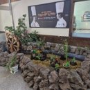 온천삼계탕 이미지