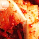 김치담는마을
