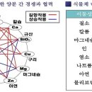 비료를 섞어도 되는지의 여부.. 길항작용과 상승작용에 대한 자료 이미지