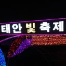 백사장항맛집 축제보다 힐링횟집만 생각나는 이유?